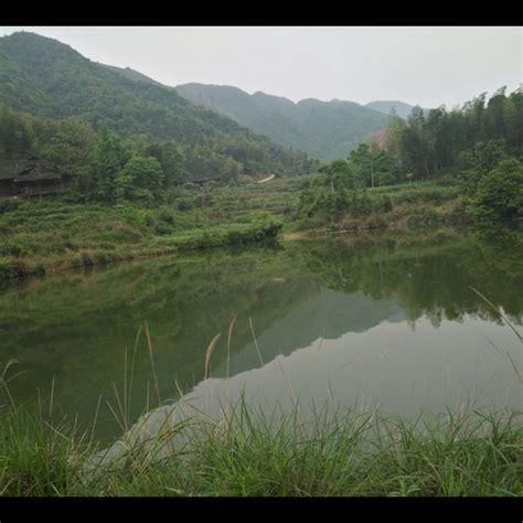 屋後有水池|【風水屋後低沒靠山嗎】沒有靠山怎麼辦 